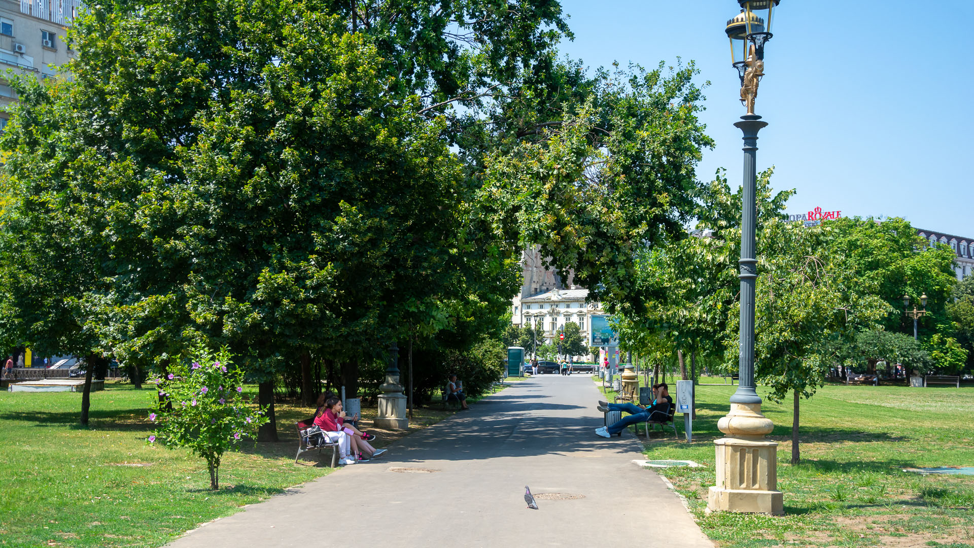 People chilling in the park