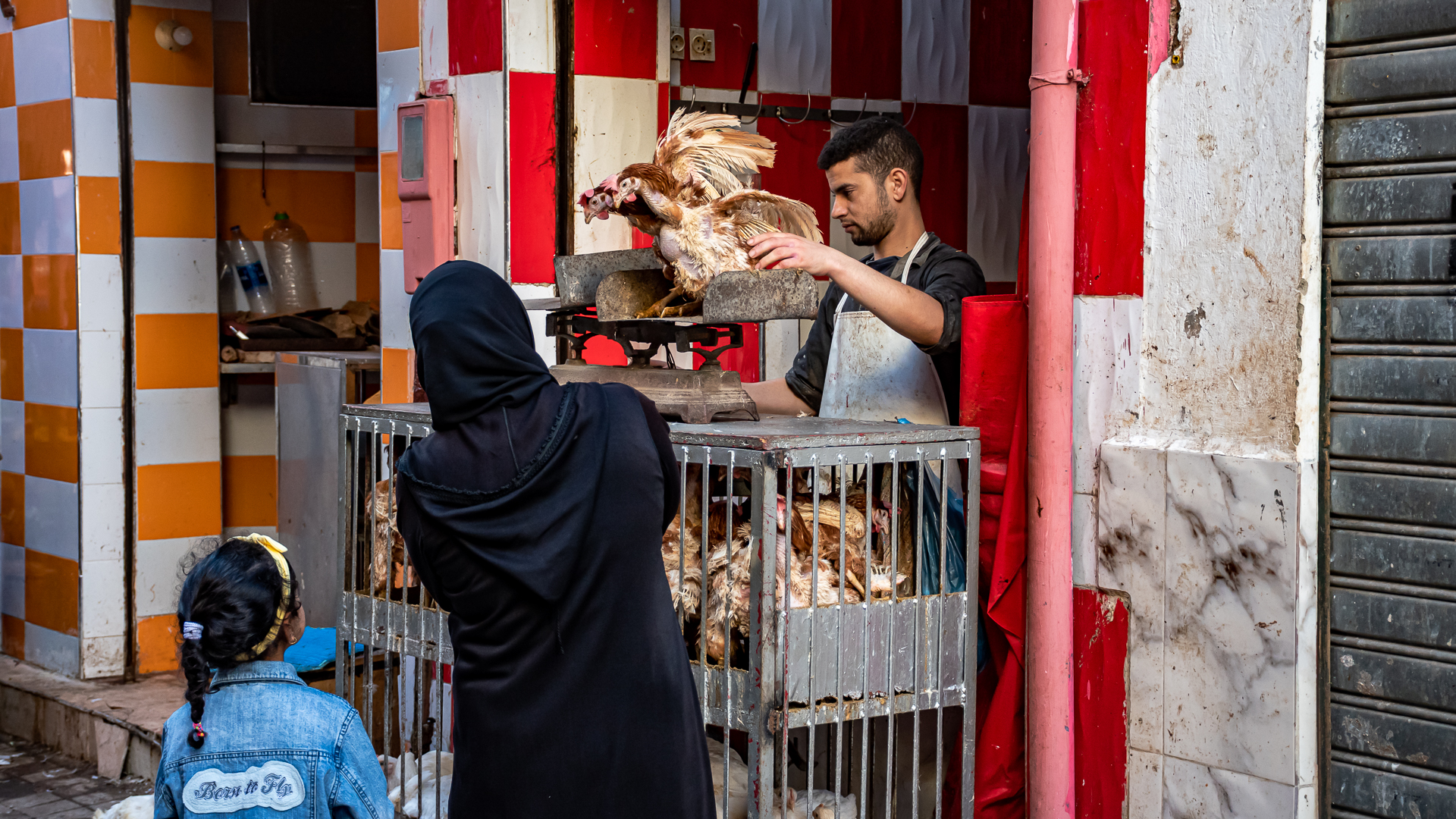Chicken in Casablanca Medina