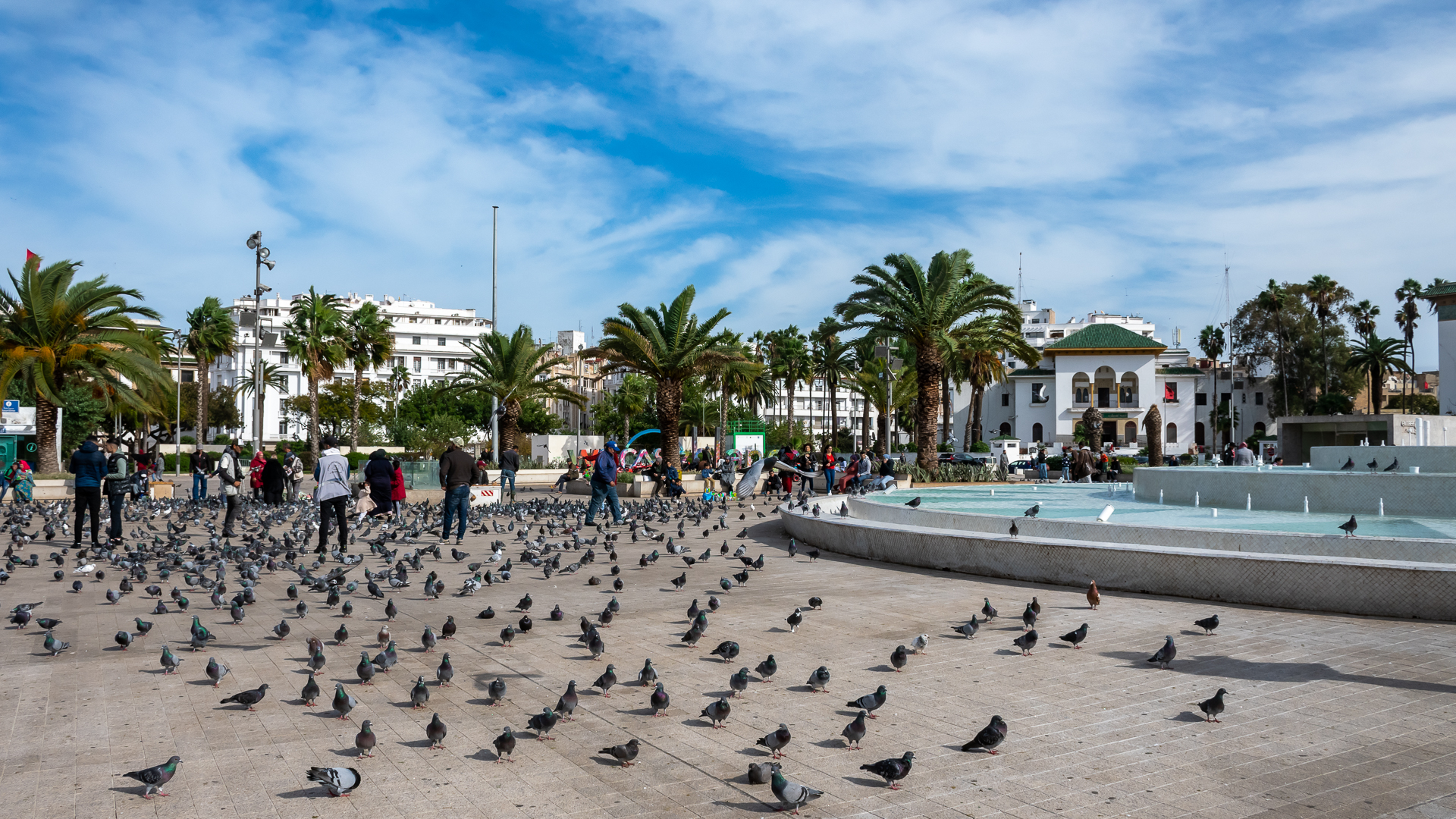 Birds on Muhammad V Square