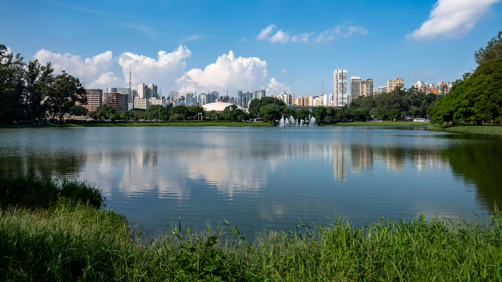 Skyline of São Paulo from Ibirapuera Park