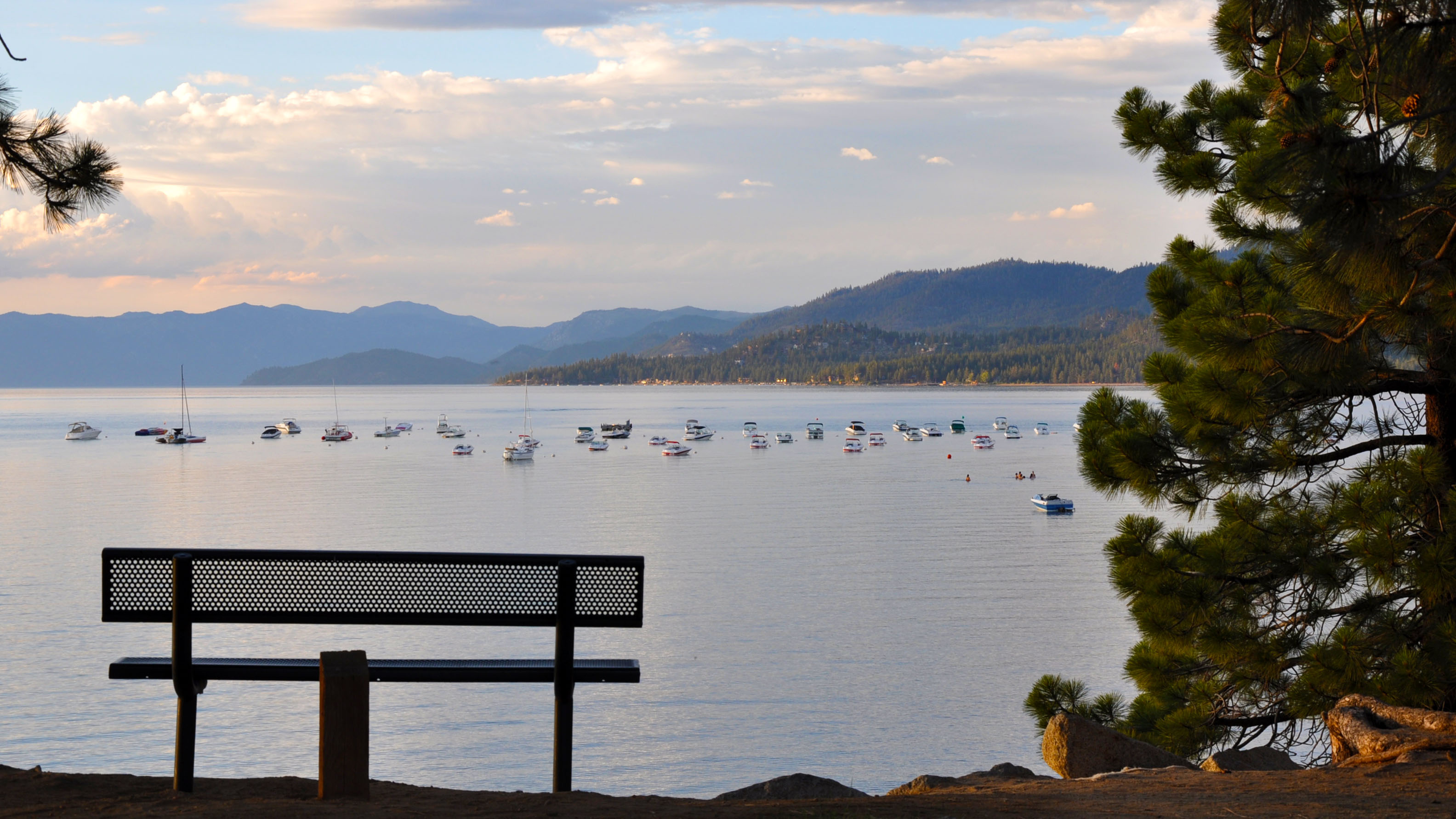 Bench overlooking Lake Tahoe